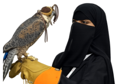 …وفاء العويري – حين يلتقي الشغف بالهوية بأدوات العلم الحديث